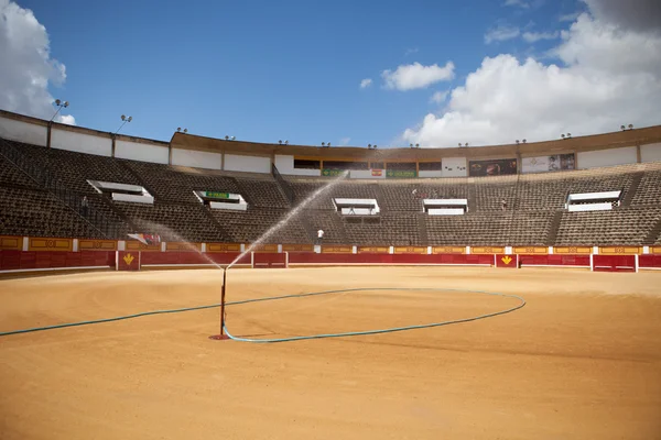 Irrigating the bullring — Stock Photo, Image