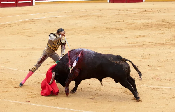 Killing the bull — Stock Photo, Image