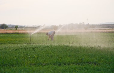 Sprinkels su altında çalışan