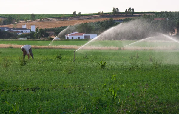 Trabajar bajo aspersión de agua —  Fotos de Stock