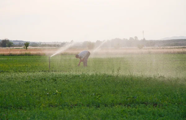 Working under sprinkels water