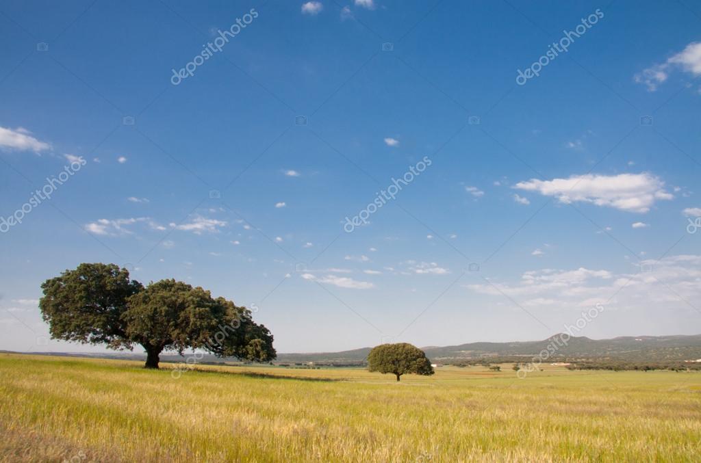 EL AGOSTADERO