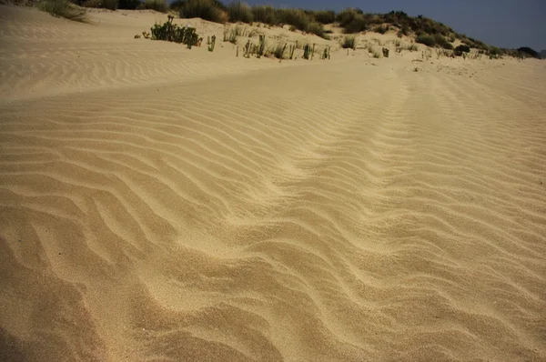 dalgalanma ve horizontality