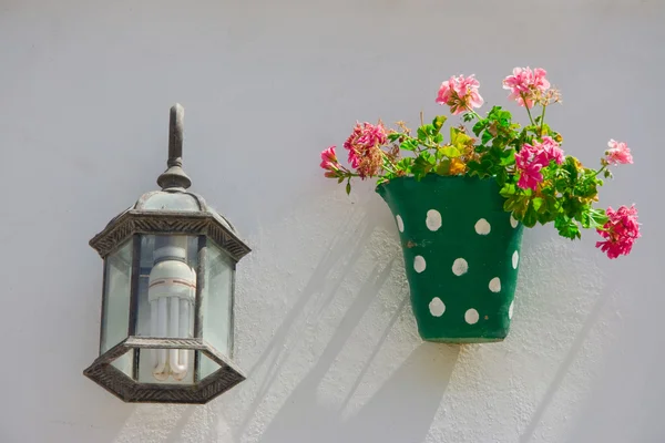 Grön prickig blomkruka — Stockfoto