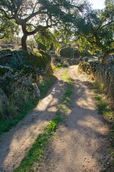 Wanderer in natürlicher Umgebung — Stockfoto