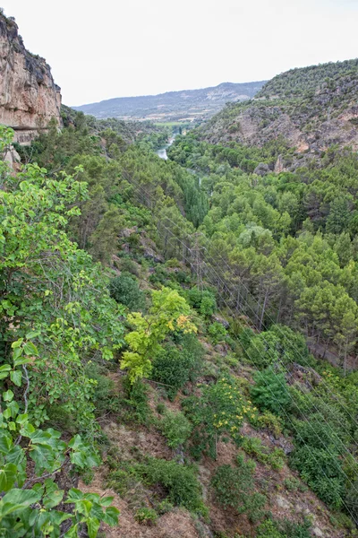 Stromkabel entlang des Flusses — Stockfoto