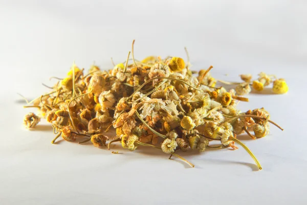 Dried chamomile — Stock Photo, Image