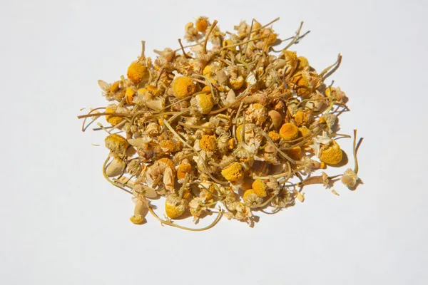 Dried chamomile — Stock Photo, Image