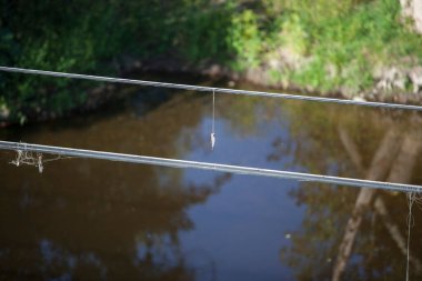 Bir kaşık nehrin yukarısındaki elektrik teline dolanmış. Seçici odak