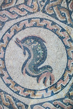 Merida, İspanya - 12 Aralık 2020: Yunus mozaiği. Merida Amfitiyatrosu. Extremadura, İspanya