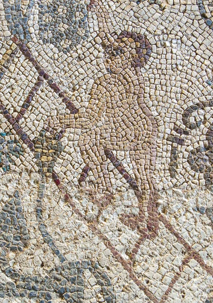 Merida Hiszpania Grudnia 2020 Jesienna Mozaika Dom Amfiteatru Merida Extremadura — Zdjęcie stockowe