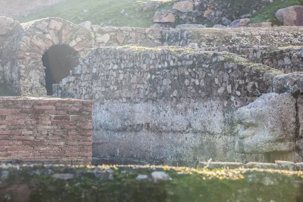 Mérida España Diciembre 2020 Baños Anfiteatro House Fuente Forma León — Foto de Stock