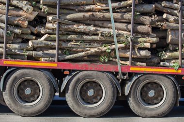 Kamyon römorku nehir kenarındaki ağaç kütükleriyle dolu. Kamyon ağırlık kısıtlama kavramı