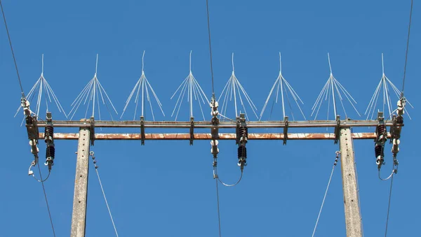 Concrete Power Pylons Equipped Bird Spikes Some Species Nest Cause — Stock Photo, Image