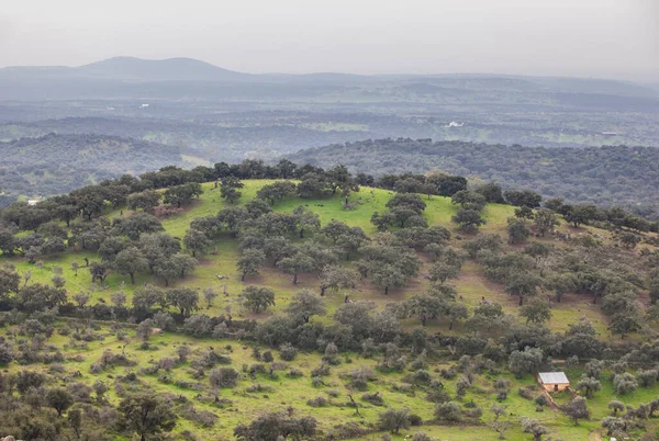 Sierra San Pedro Dehesas Alburquerque Extremadura Spain View Taken San — Stock Photo, Image