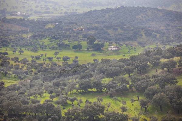 Sierra San Pedro Dehesas Alburquerque Estrémadure Espagne Vue Prise San — Photo