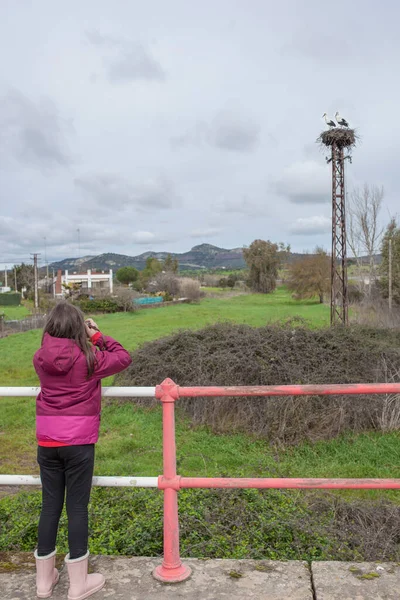 Barnflicka Tar Bilder Till Storkboet Barn Upptäcker Naturen Genom Fotografering — Stockfoto