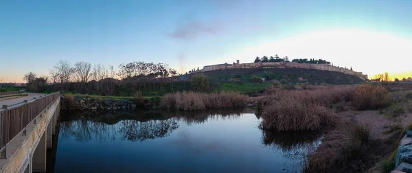 Badajoz Alcazaba Estrémadure Espagne Vue Panoramique Depuis Rivière Guadiana — Photo