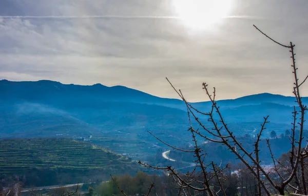 Escena Invierno Llena Brotes Cerezo Con Las Montañas Del Valle —  Fotos de Stock