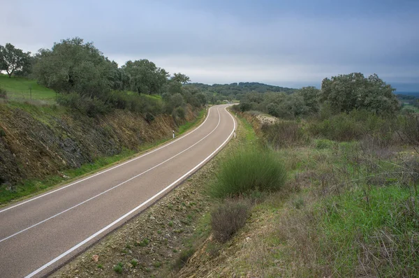 Sierra de San Pedro yolu EX-303, Extremadura, İspanya. Yüksek manzaralı yol olarak ilan edildi