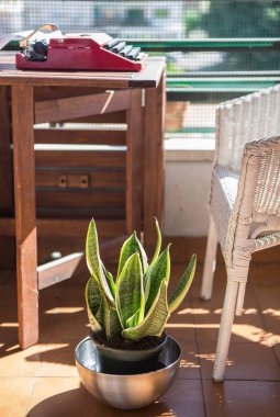 1970 'lerin daktilosu olan şehir terası. Kitap yazmak için hoş bir ortam.