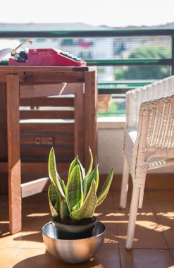 1970 'lerin daktilosu olan şehir terası. Kitap yazmak için hoş bir ortam.