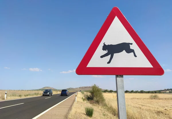 Metal Pole Traffic Signal Warning Iberian Lynx Crossing — Stock Photo, Image