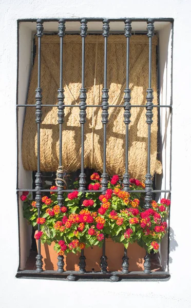 Угловая Площадь Касерес Испания Окно Полное Цветов Жалюзи Эспарто — стоковое фото