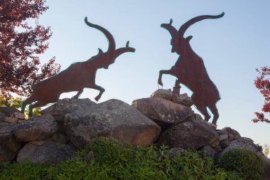 Spanish wild goat roundabout at Losar de la Vera, Caceres, Extremadura, Spain