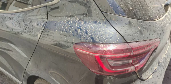 Rain Dust Drops Stains Trunk Car Door Closeup — стоковое фото