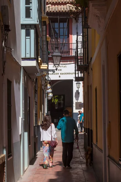Séville Espagne Septembre 2020 Couple Touristique Promenant Chien Par Rue — Photo