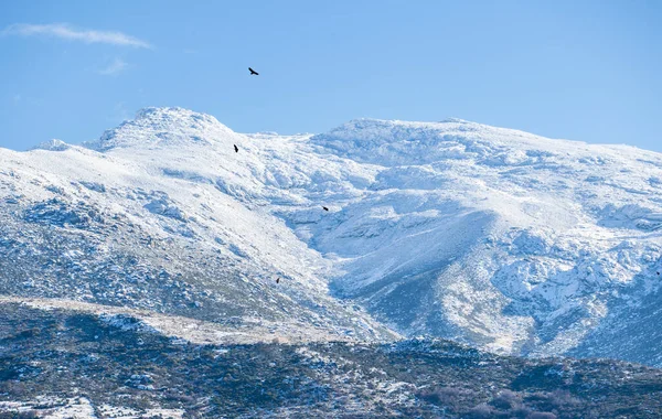 독수리들 시에라데그레 도스의 눈덮인 봉우리 치솟고 있습니다 Garganta Ambroz Valley — 스톡 사진