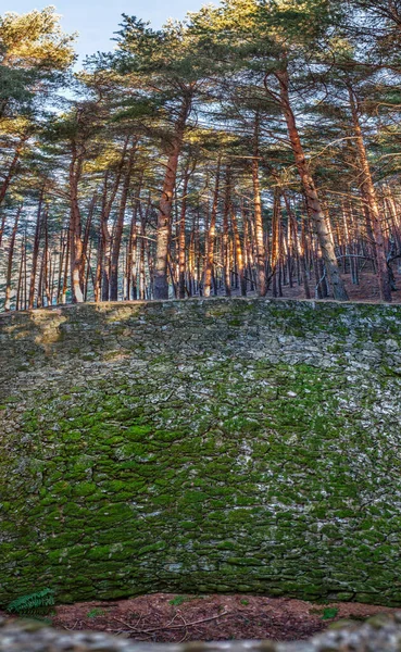 Garganta Ijsbron Bos Magische Plek Het Hart Van Ambroz Valley — Stockfoto