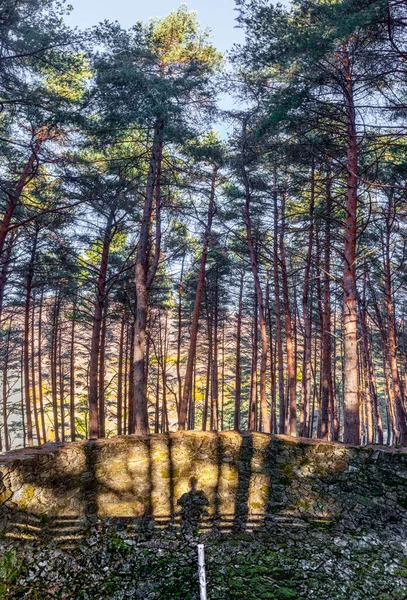 Garganta Eisbrunnenwald Fotograf Schatten Sichtbar Auf Felsen Banos Montemayor Caceres — Stockfoto