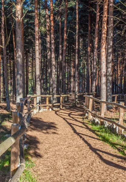 Het Bos Van Garganta Houten Leuning Magische Plek Het Hart — Stockfoto