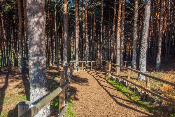 Garganta Wald Handlauf Aus Holz Magischer Ort Herzen Des Ambroz — Stockfoto