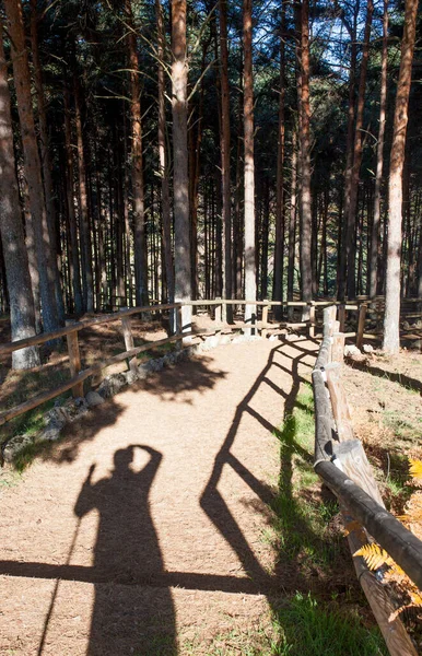 Las Garganta Drewniana Poręcz Cień Trekkera Widoczny Używa Ręki Jako — Zdjęcie stockowe
