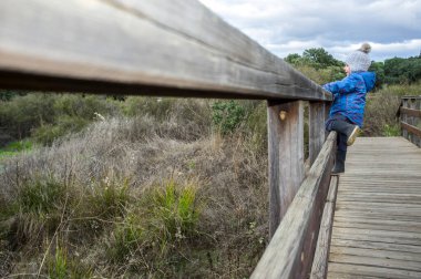 Tahta bir köprünün korkuluklarından tırmanan 3 yaşında bir çocuk. Çocuk konsepti için doğada fiziksel egzersiz