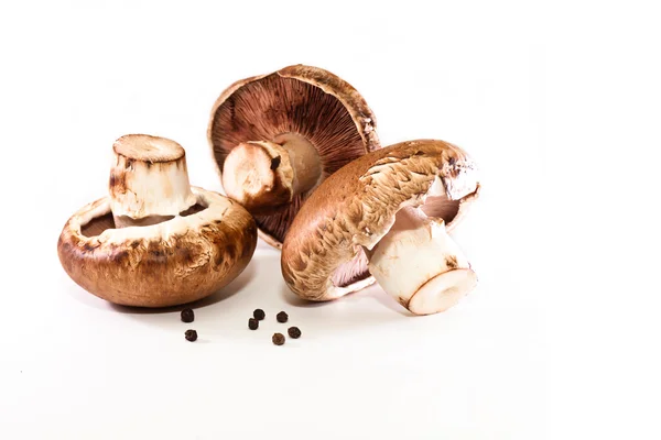 Fresh mushrooms — Stock Photo, Image