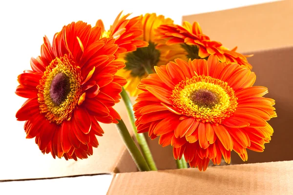 Φρέσκα λουλούδια που παραδίδεται στην πόρτα σας — Φωτογραφία Αρχείου