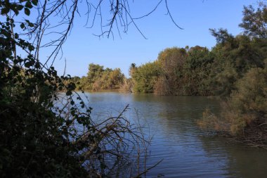 Göl yeşil ağaçlar ve çalılarla çevrilidir.