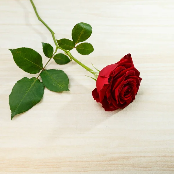 Czerwona Róża Tle Tekstury Drewna — Zdjęcie stockowe