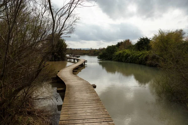 Ponte Madeira Para Caminhar Meio Lago Com Vegetação Verde Longo — Fotografia de Stock