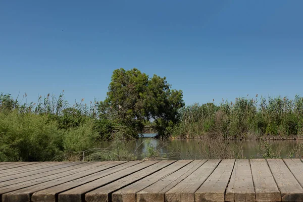 Pond Overgrown Green Vegetation Blue Sky Wooden Bridge Front — Fotografia de Stock