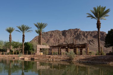 Su kaynağının yakınında dağlar ve palmiye ağaçları