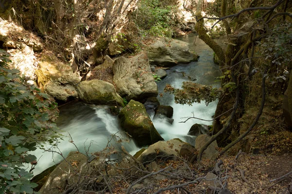 Kayalar ve ağaçlar arasında bir dağ deresinin hızlı akışı