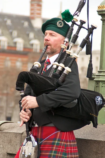 İskoç piper