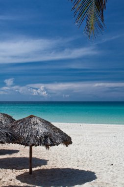 plaj kulübe ve palmiye yaprağı