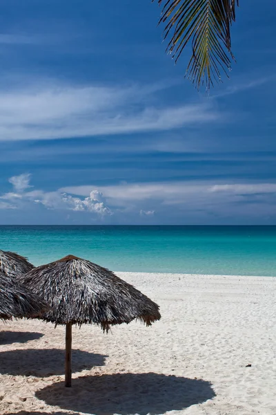 plaj kulübe ve palmiye yaprağı