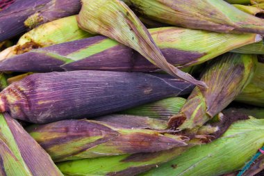 corncobs chichicastenango, siyah Mısır Pazar guatemala